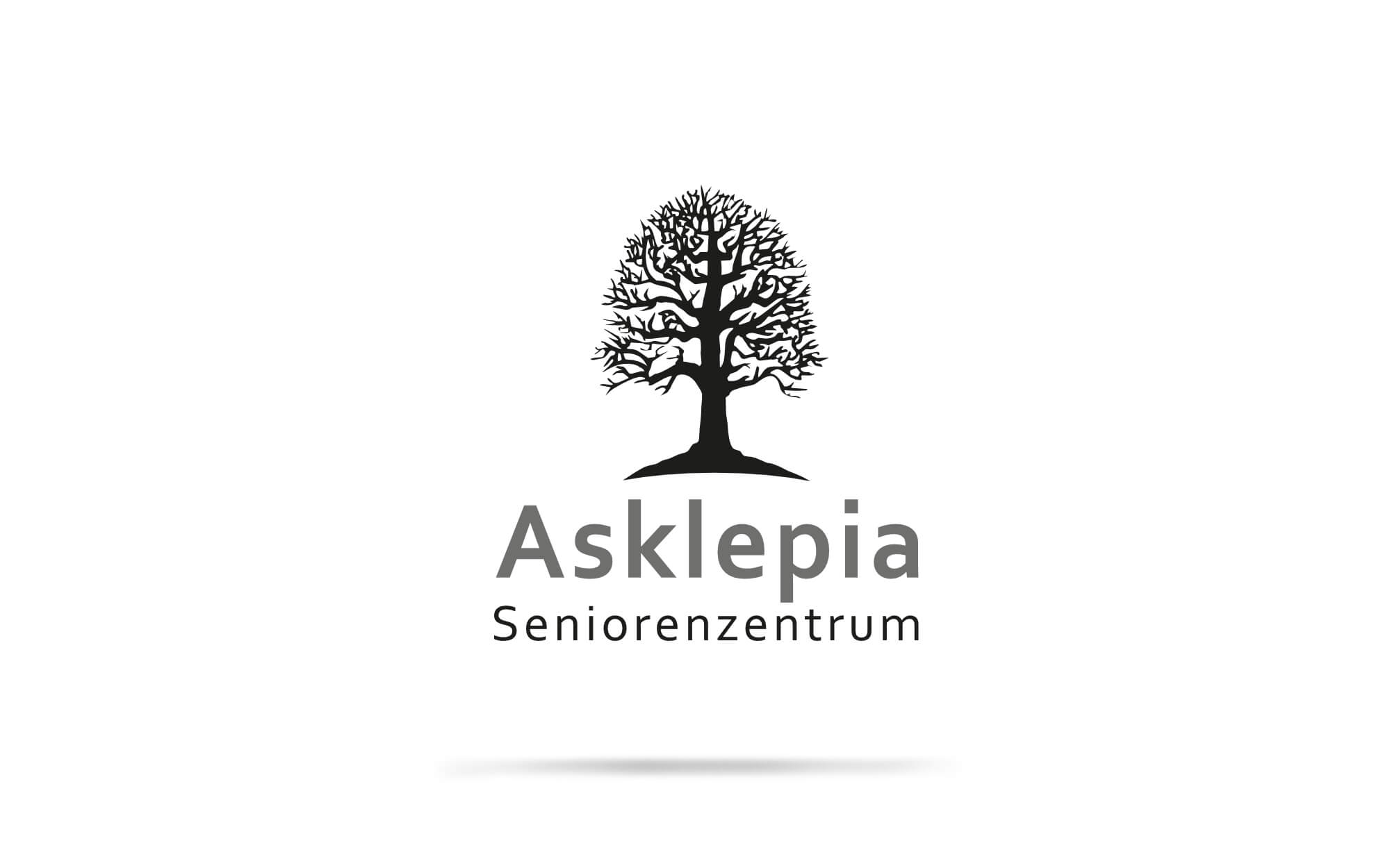 Portfolio Corporate Design Asklepia