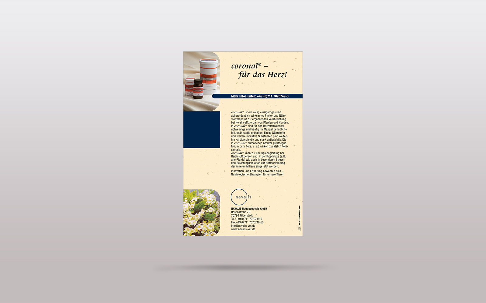 Portfolio Corporate Design, Print - Navalis04